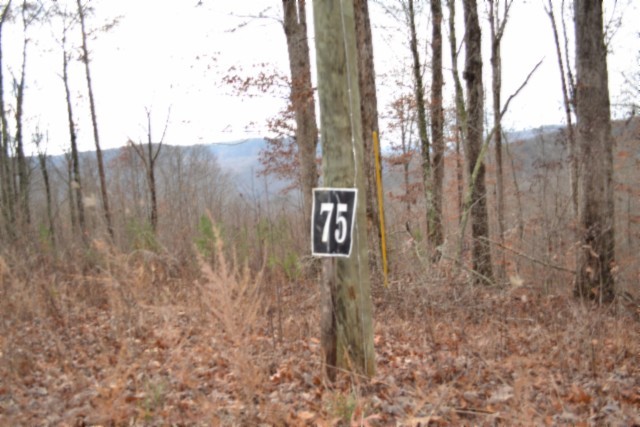 0 Tomahawk Road Jamestown TN 38556