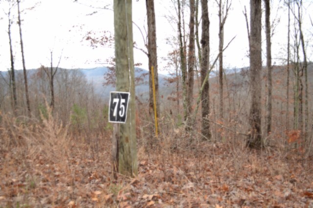 0 Tomahawk Road Jamestown TN 38556