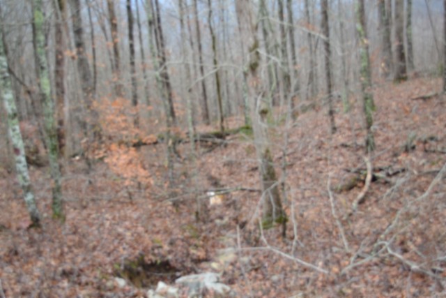 0 Tomahawk Road Jamestown TN 38556