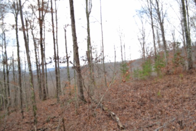 0 Tomahawk Road Jamestown TN 38556