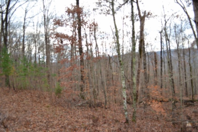 0 Tomahawk Road Jamestown TN 38556