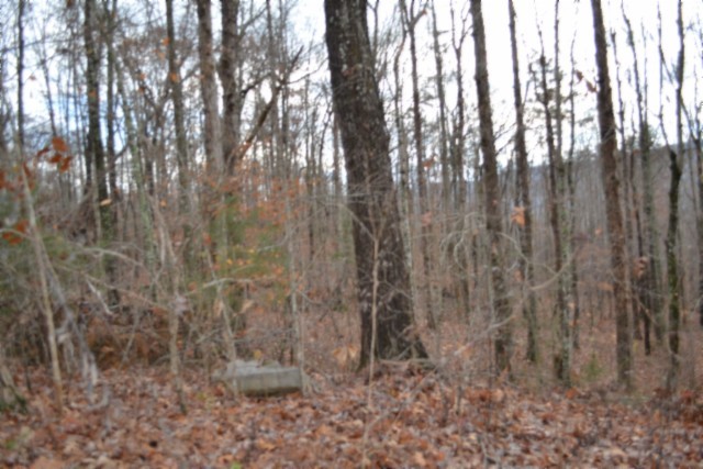 0 Tomahawk Road Jamestown TN 38556