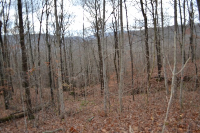 0 Tomahawk Road Jamestown TN 38556