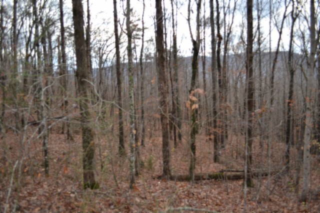 0 Tomahawk Road Jamestown TN 38556