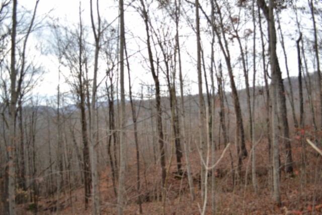 0 Tomahawk Road Jamestown TN 38556