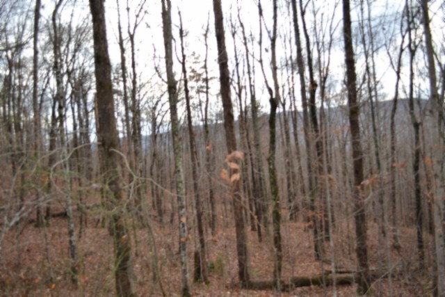 0 Tomahawk Road Jamestown TN 38556