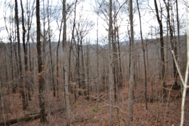 0 Tomahawk Road Jamestown TN 38556