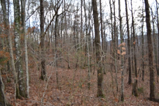 0 Tomahawk Road Jamestown TN 38556
