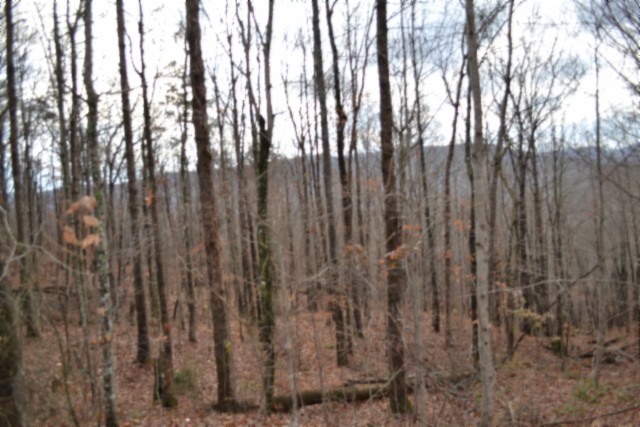 0 Tomahawk Road Jamestown TN 38556