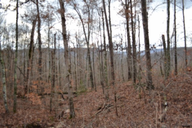 0 Tomahawk Road Jamestown TN 38556