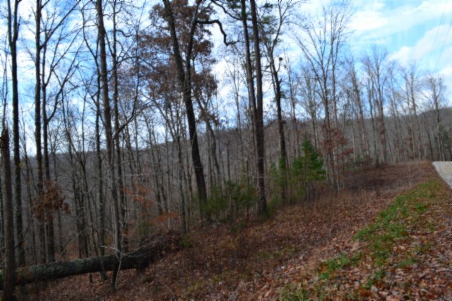 0 Tomahawk Road Jamestown TN 38556