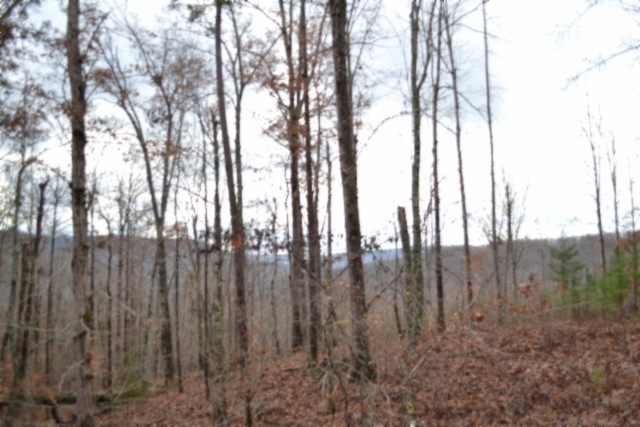 0 Tomahawk Road Jamestown TN 38556