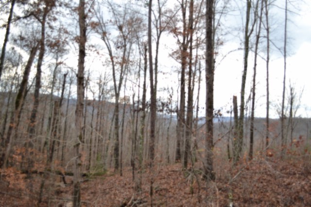 0 Tomahawk Road Jamestown TN 38556
