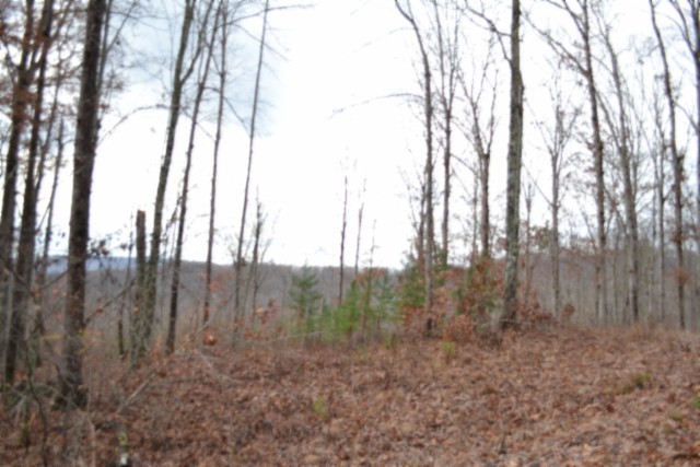 0 Tomahawk Road Jamestown TN 38556
