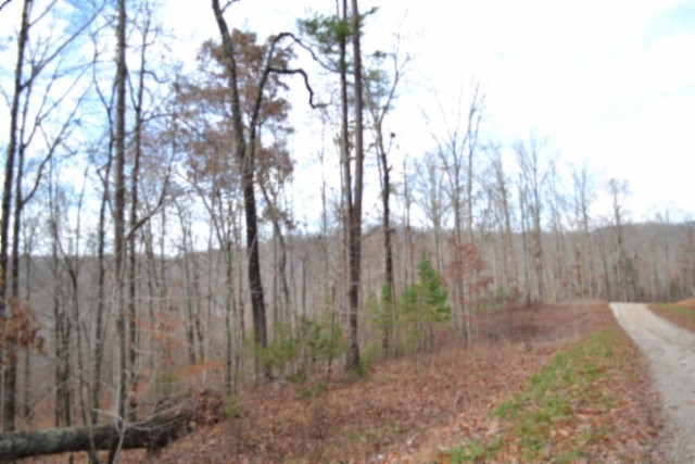 0 Tomahawk Road Jamestown TN 38556