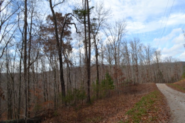 0 Tomahawk Road Jamestown TN 38556