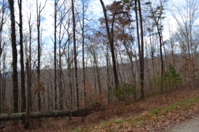 0 Tomahawk Road Jamestown TN 38556