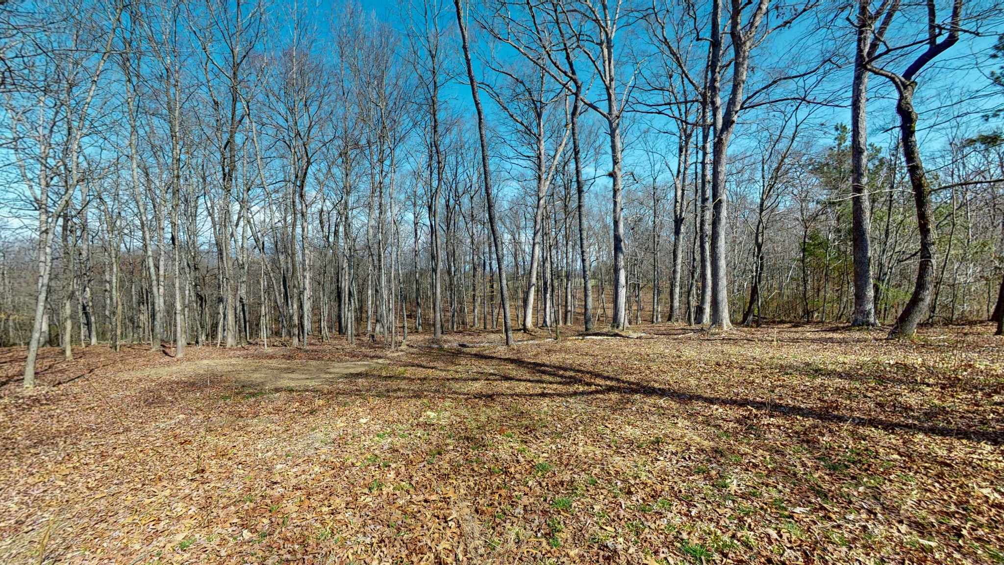 0 East Oak Drive Bon Aqua TN 37025