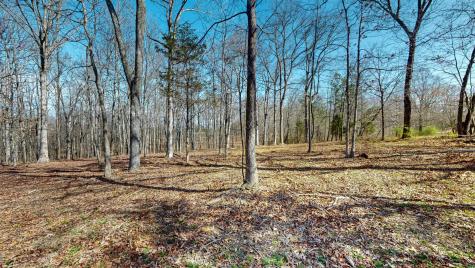 0 East Oak Drive Bon Aqua TN 37025