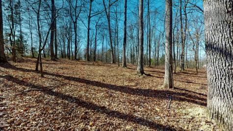 0 East Oak Drive Bon Aqua TN 37025
