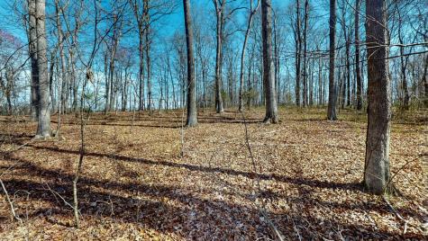 0 East Oak Drive Bon Aqua TN 37025
