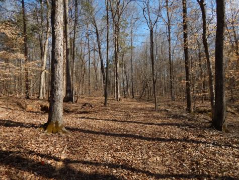 0 Ian Drive Clifton TN 38425