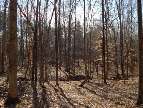 0 Ian Drive Clifton TN 38425