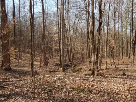 0 Ian Drive Clifton TN 38425