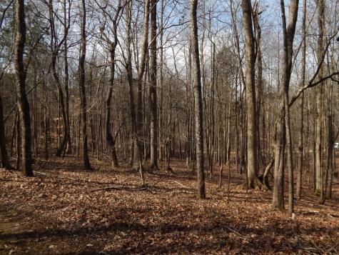 0 Ian Drive Clifton TN 38425