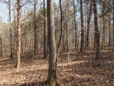 0 Ian Drive Clifton TN 38425