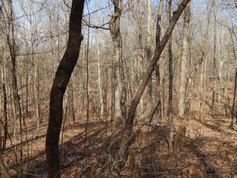0 Ian Drive Clifton TN 38425