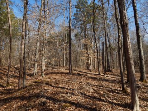 0 Ian Drive Clifton TN 38425