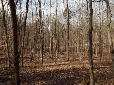 0 Ian Drive Clifton TN 38425