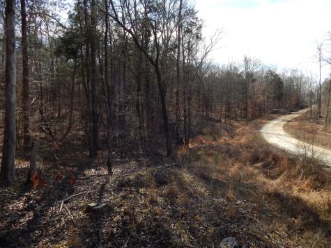 0 Ian Drive Clifton TN 38425