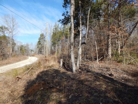 0 Ian Drive Clifton TN 38425