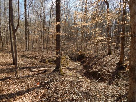 0 Ian Drive Clifton TN 38425