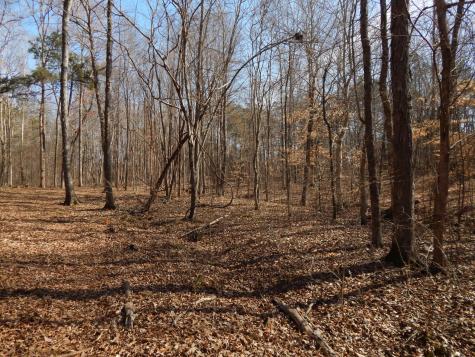 0 Ian Drive Clifton TN 38425
