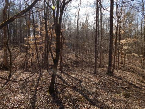 0 Ian Drive Clifton TN 38425