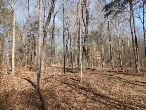 0 Ian Drive Clifton TN 38425