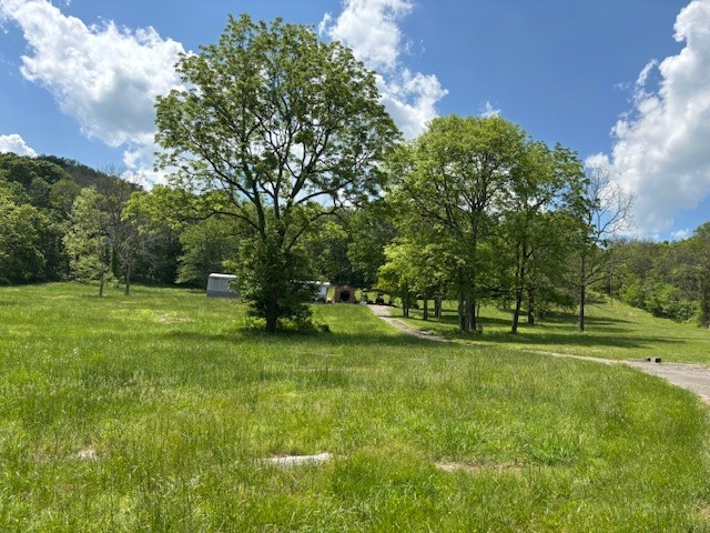 2517 Patton Hollow Road Watertown TN 37184