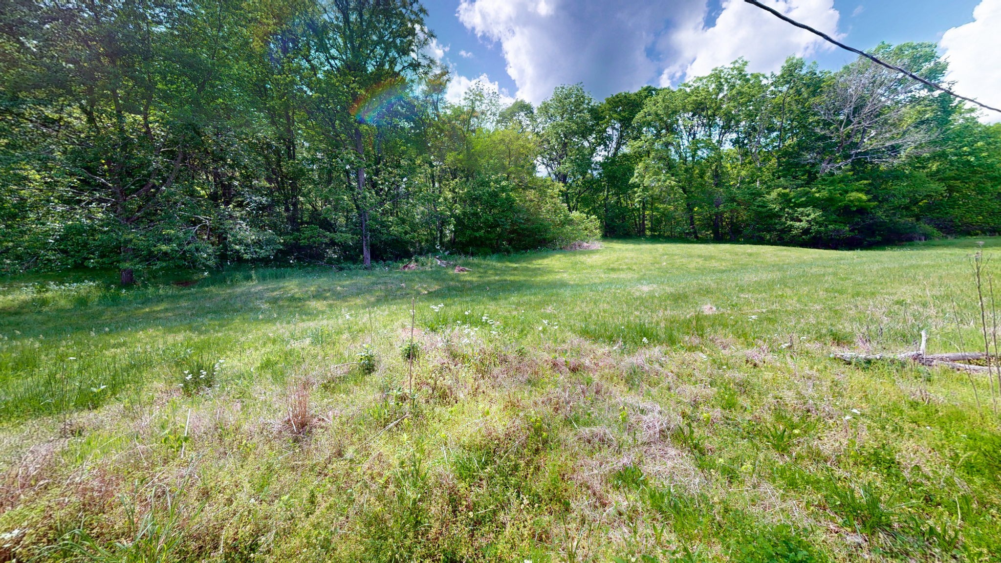 2517 Patton Hollow Road Watertown TN 37184