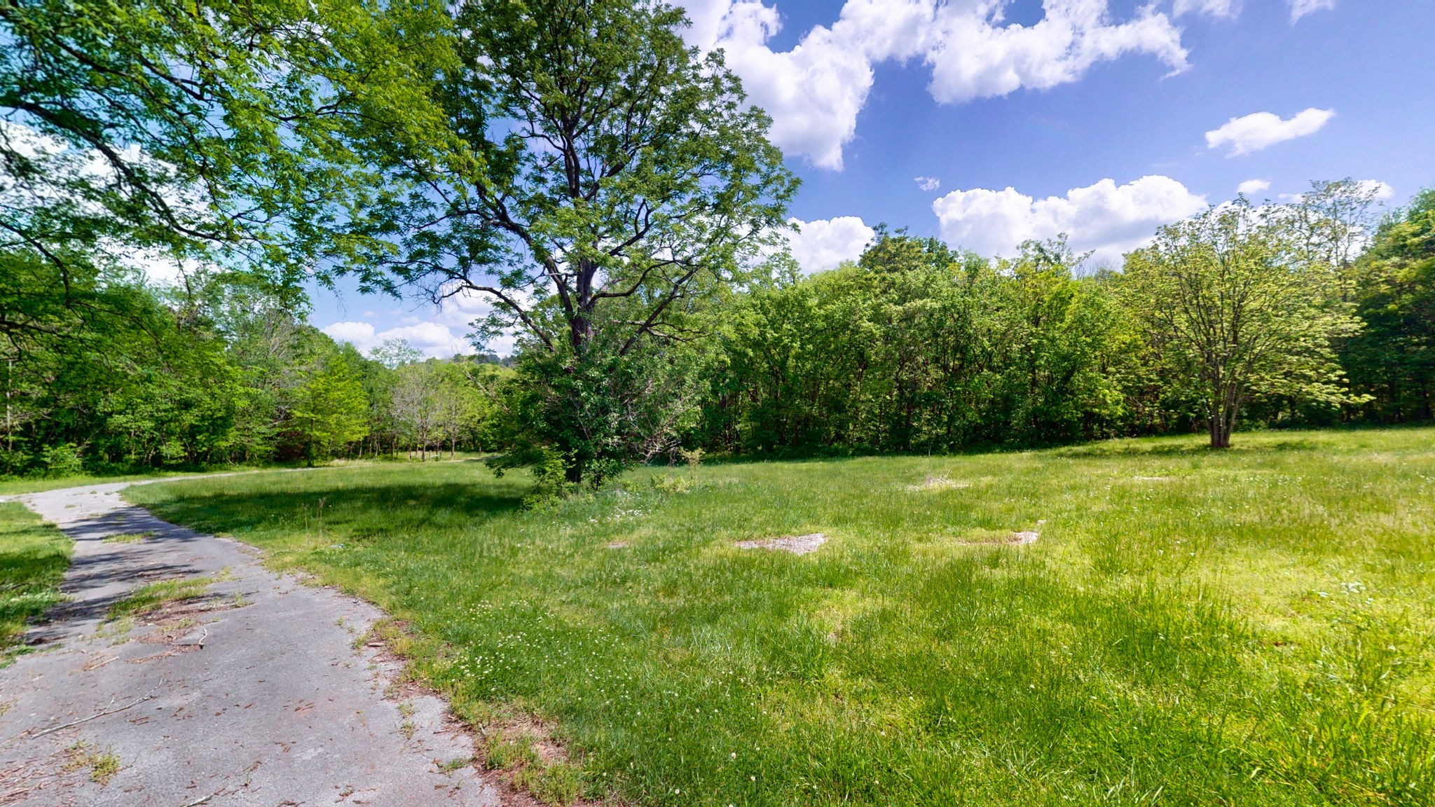 2517 Patton Hollow Road Watertown TN 37184
