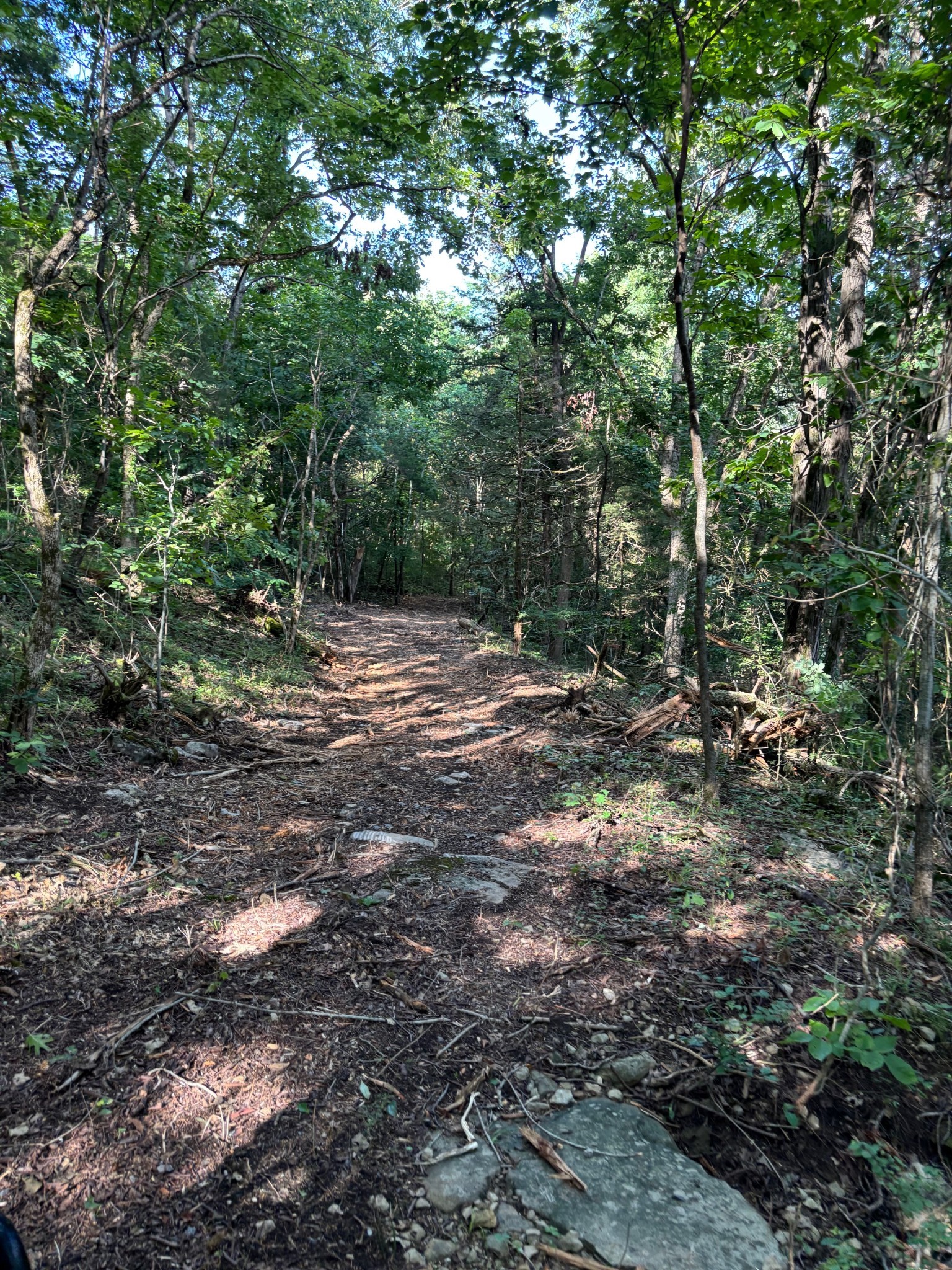 2517 Patton Hollow Road Watertown TN 37184