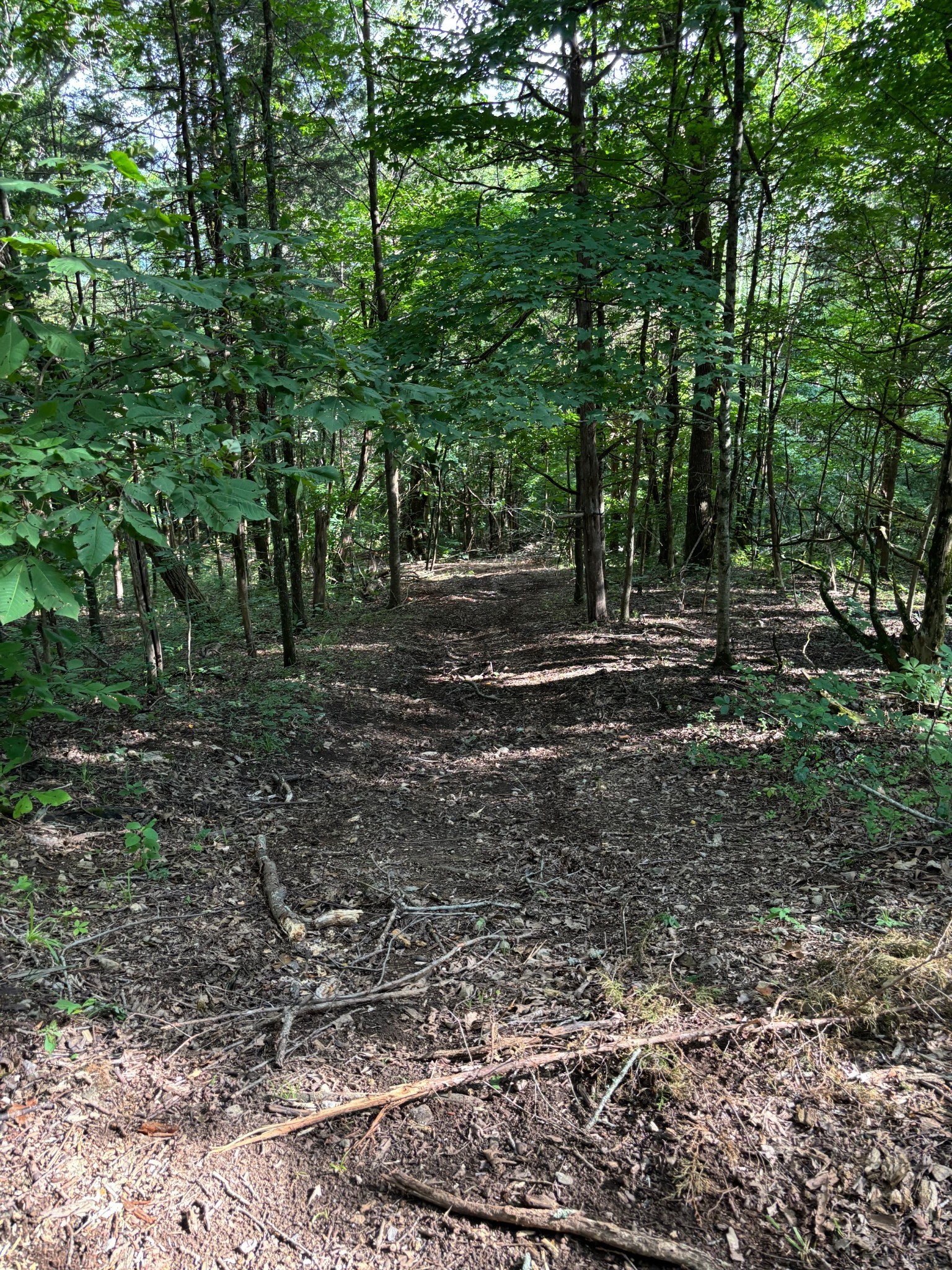 2517 Patton Hollow Road Watertown TN 37184