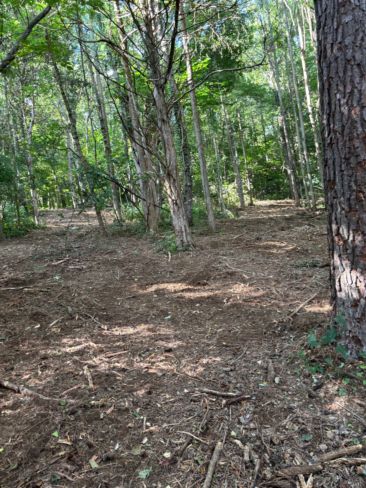 2517 Patton Hollow Road Watertown TN 37184