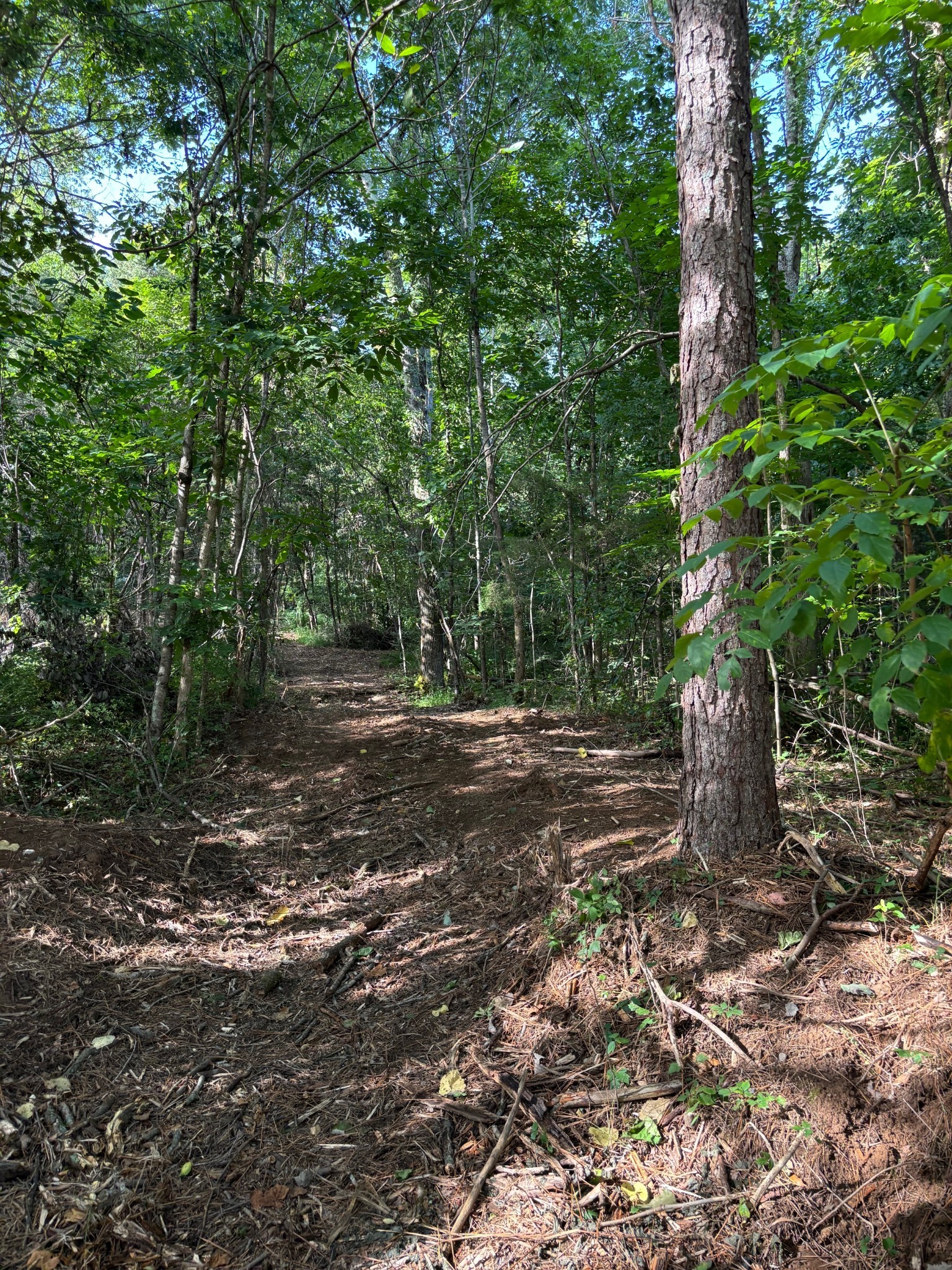 2517 Patton Hollow Road Watertown TN 37184