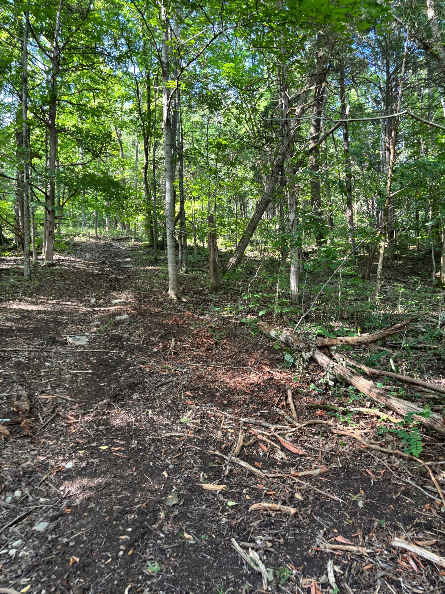 2517 Patton Hollow Road Watertown TN 37184