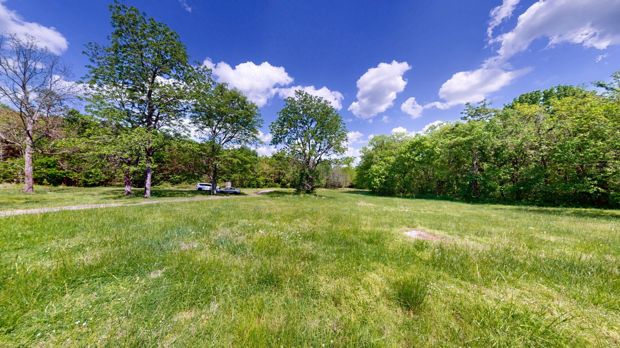 2517 Patton Hollow Road Watertown TN 37184