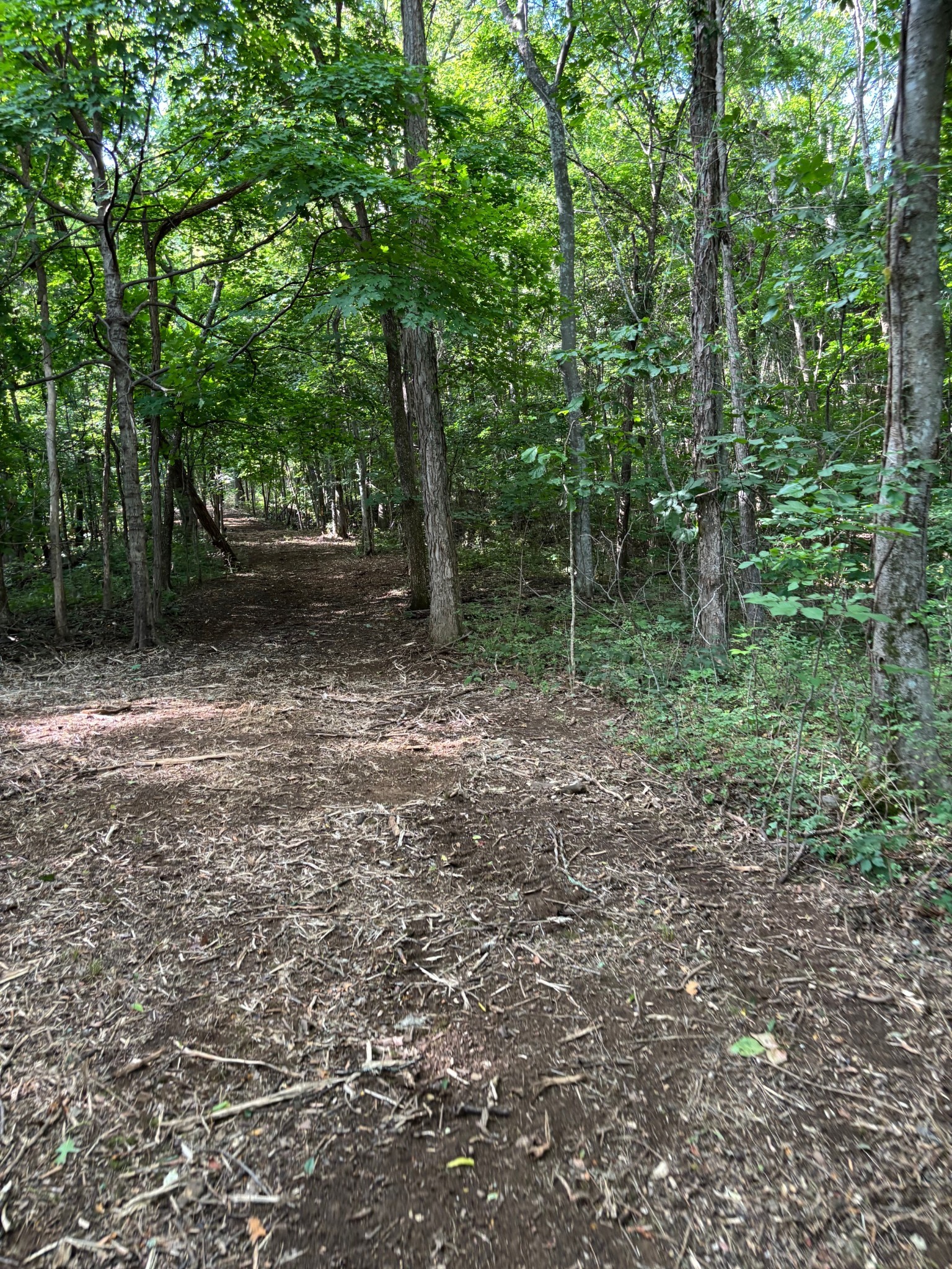 2517 Patton Hollow Road Watertown TN 37184
