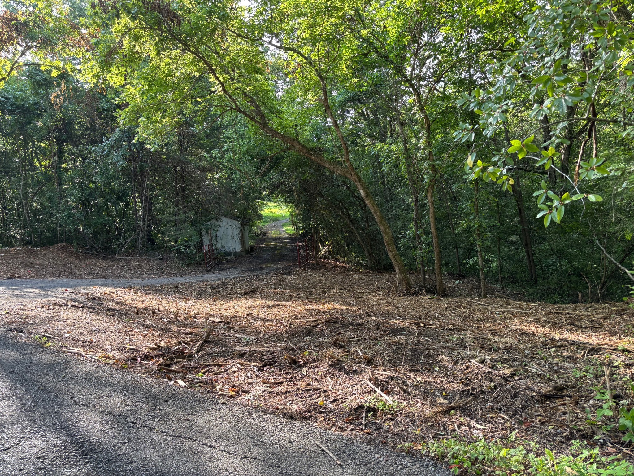 2517 Patton Hollow Road Watertown TN 37184